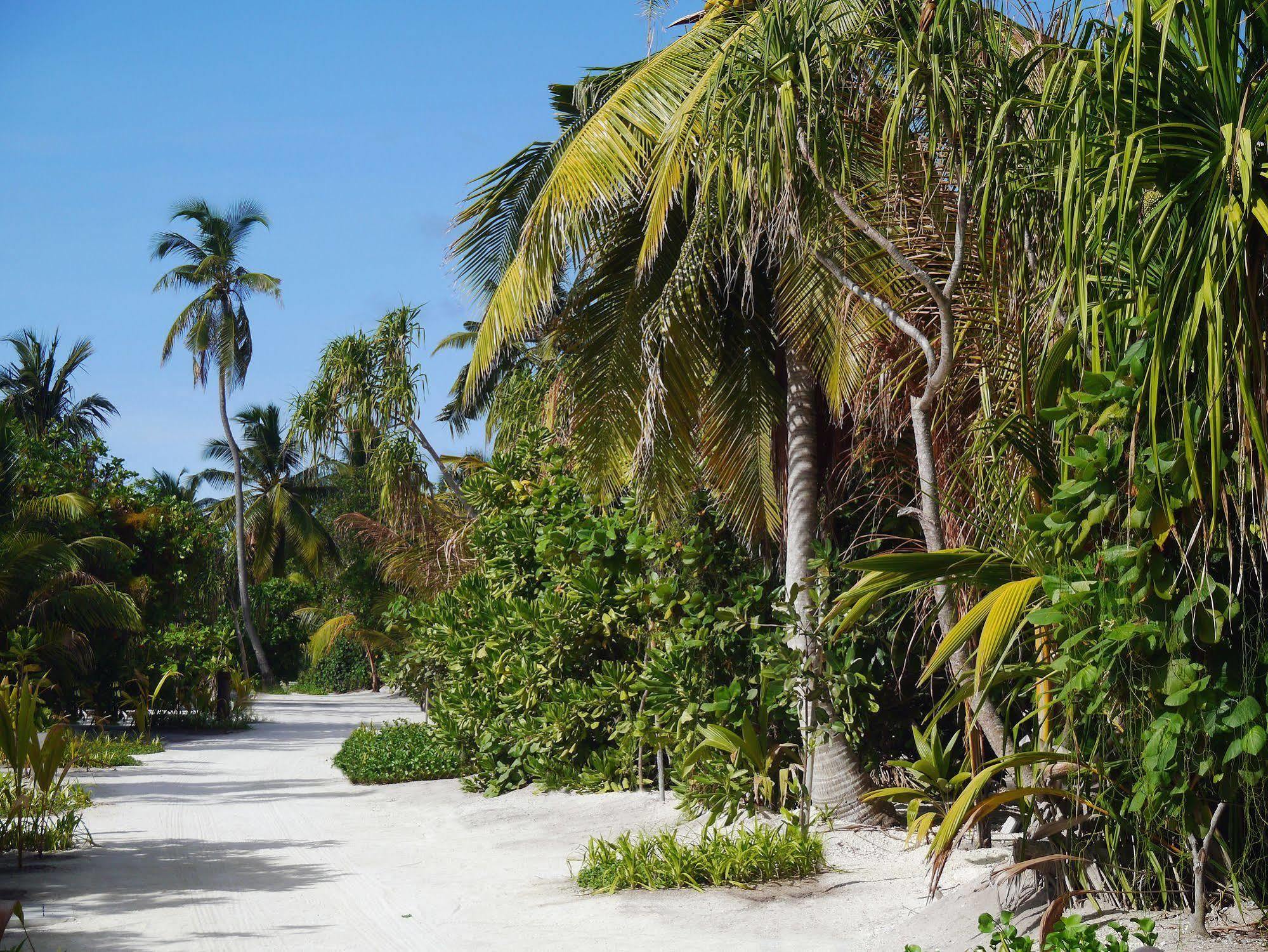 The Residence Maldives Dhigurah  Luaran gambar